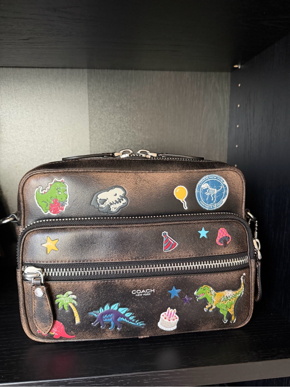 Coach Rexy Dakota Crossbody Bag